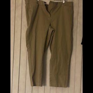 Lane Bryant Ashley Ankle Pants. All the same color.